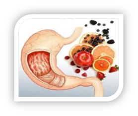 Food that helps avoid Acid reflux