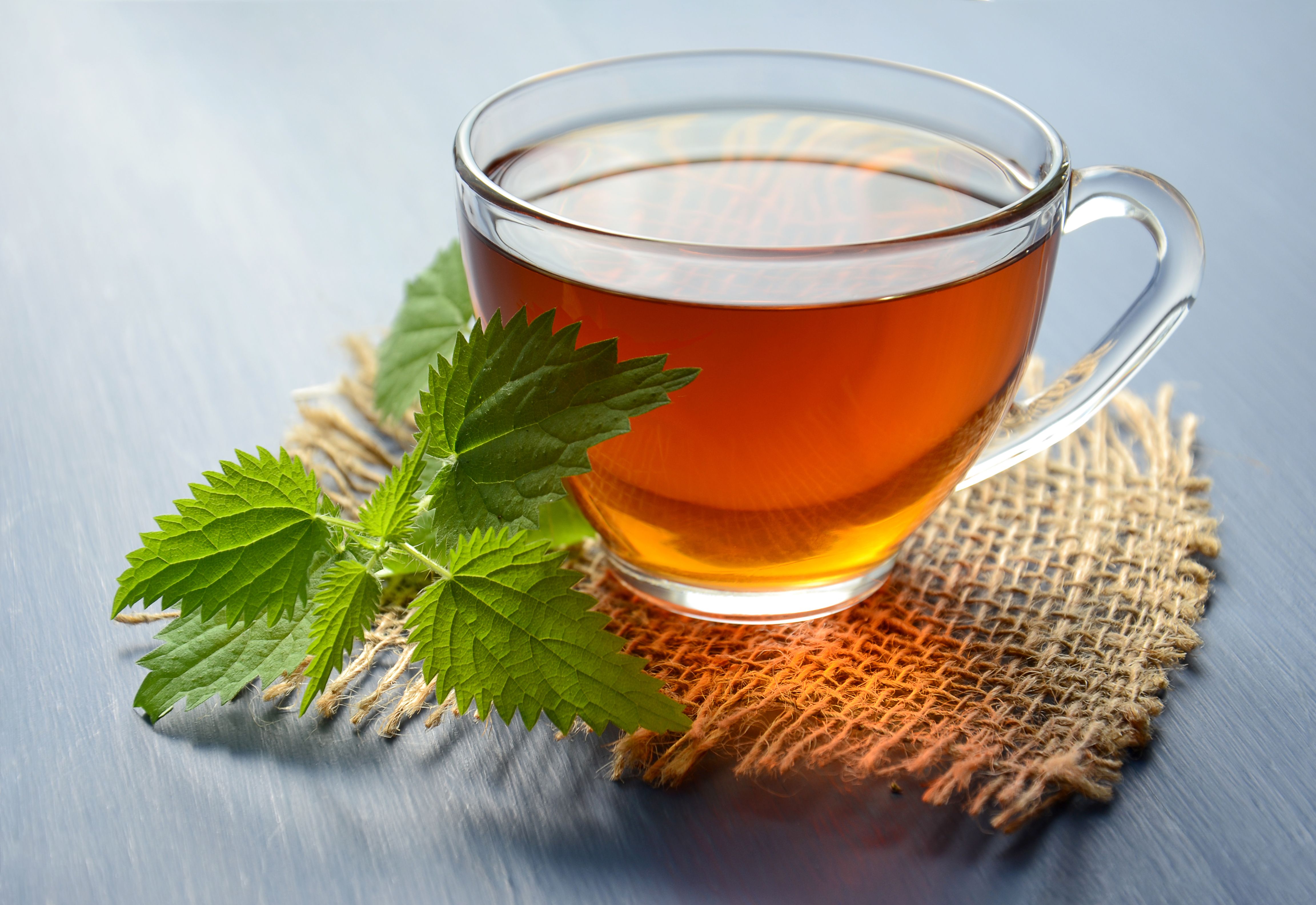Best teas clear skin healthy hair: green tea beauty brew A clear glass cup of freshly brewed green tea beside fresh leaves and soft morning light - best teas clear skin healthy hair