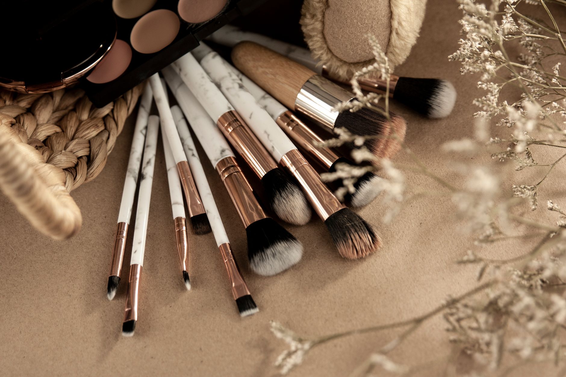 From above of makeup brushes with eyeshadows on beige background with branches of dried plants