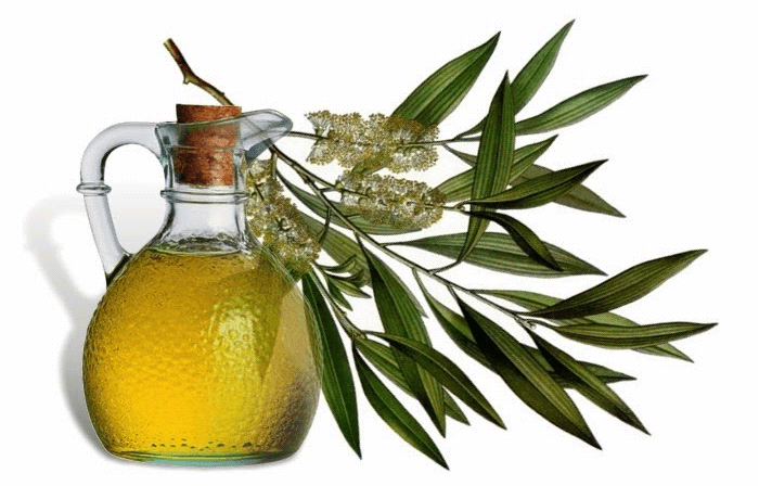 Tea tree oil for treating Dandruff