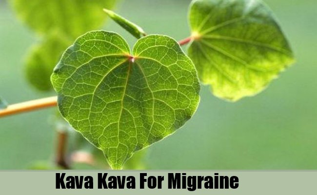 How to Get Rid of Migraines with Kava-Kava