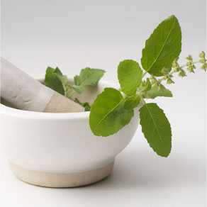 how to get rid of mouth ulcers with Tulsi Leaves