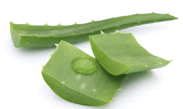 How to get rid of stretch marks - Aloe Vera