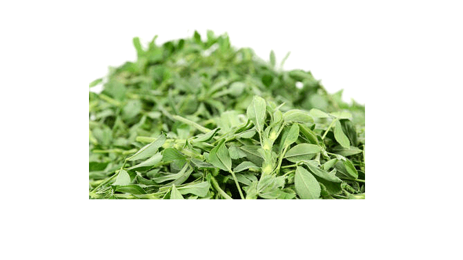 How to get rid of stretch marks - Alfalfa Leaves