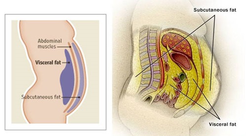 How to get rid of visceral fats
