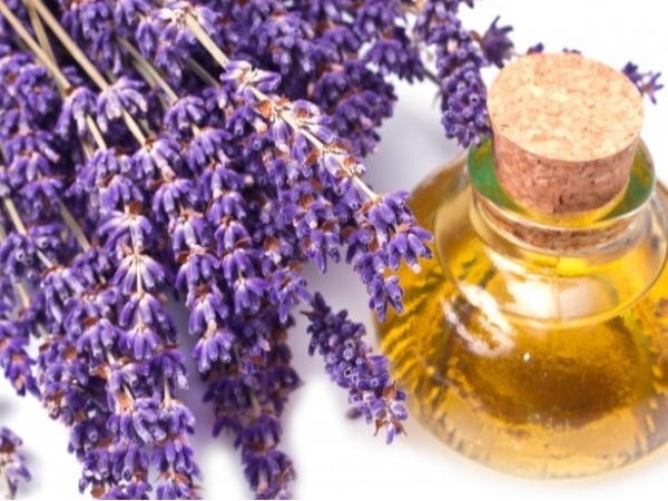 Lavender Oil for Yellow Nails