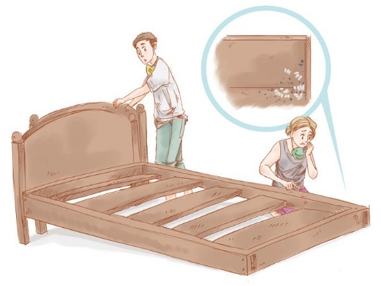 how to kill bed bugs yourself at home